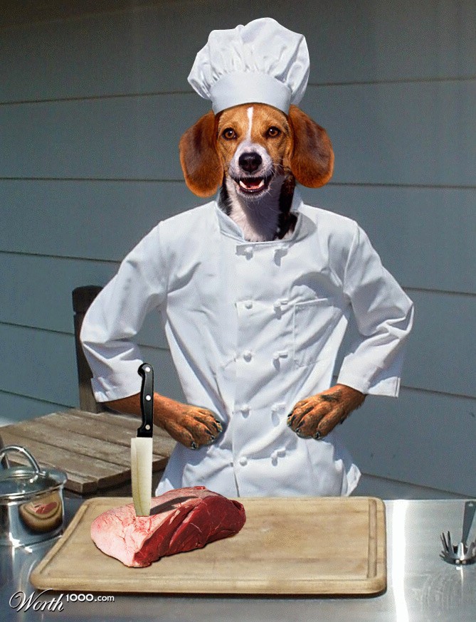 Dog Chef