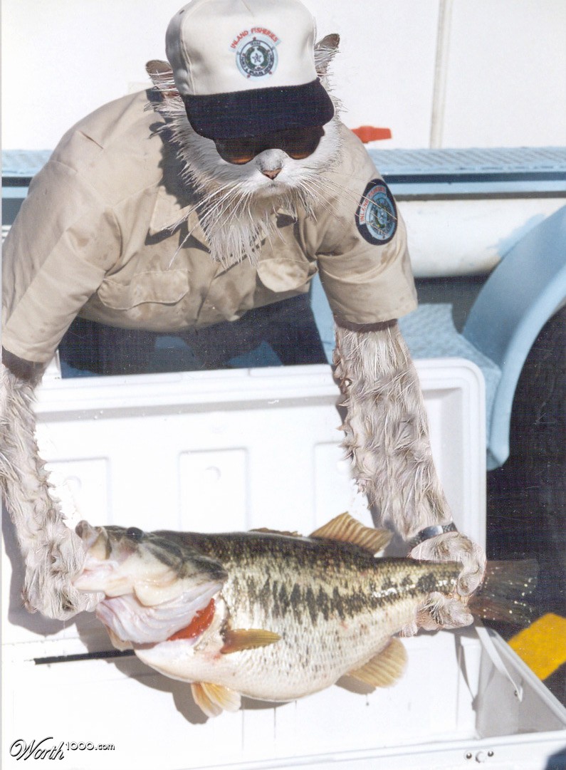 Game Warden
