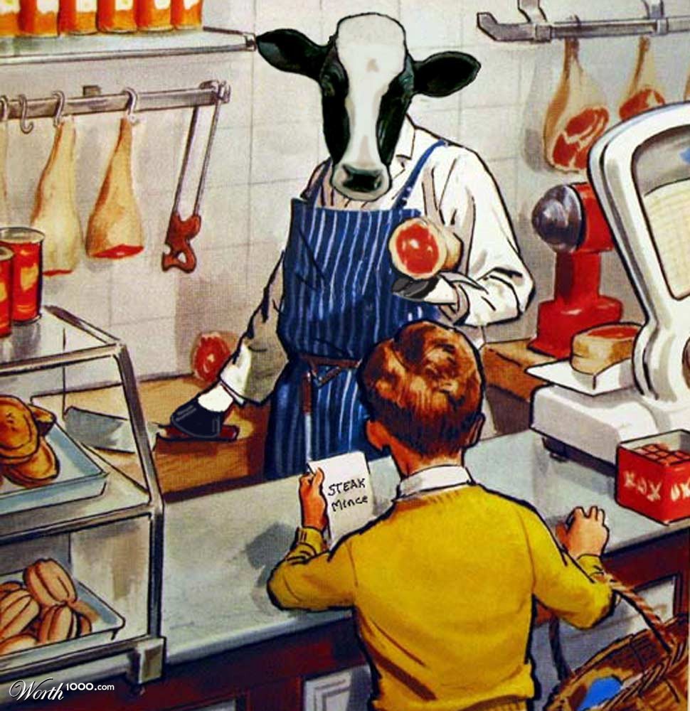 Moooo!!