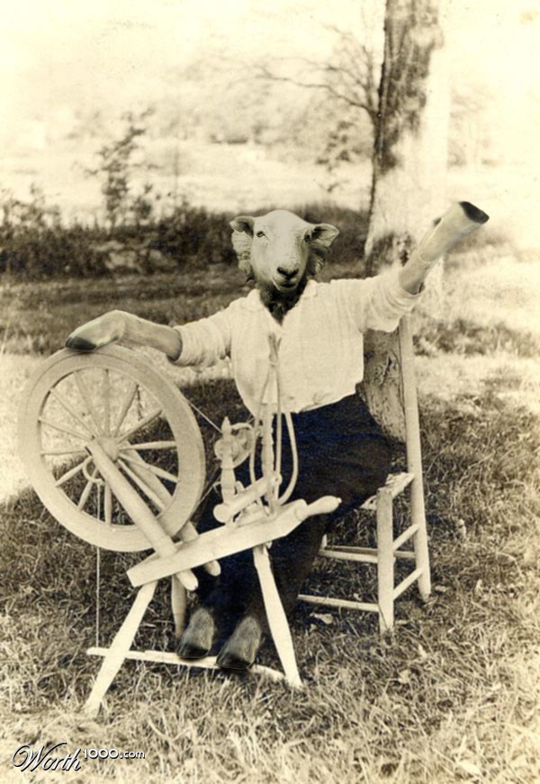 Spinning Wool