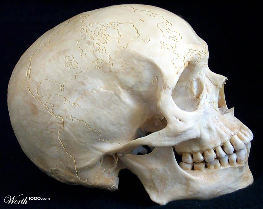 Atlas Skull