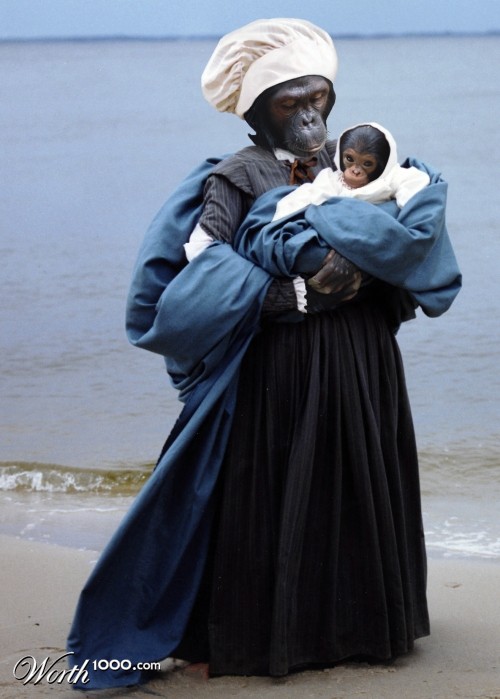 Pilgrim Primates