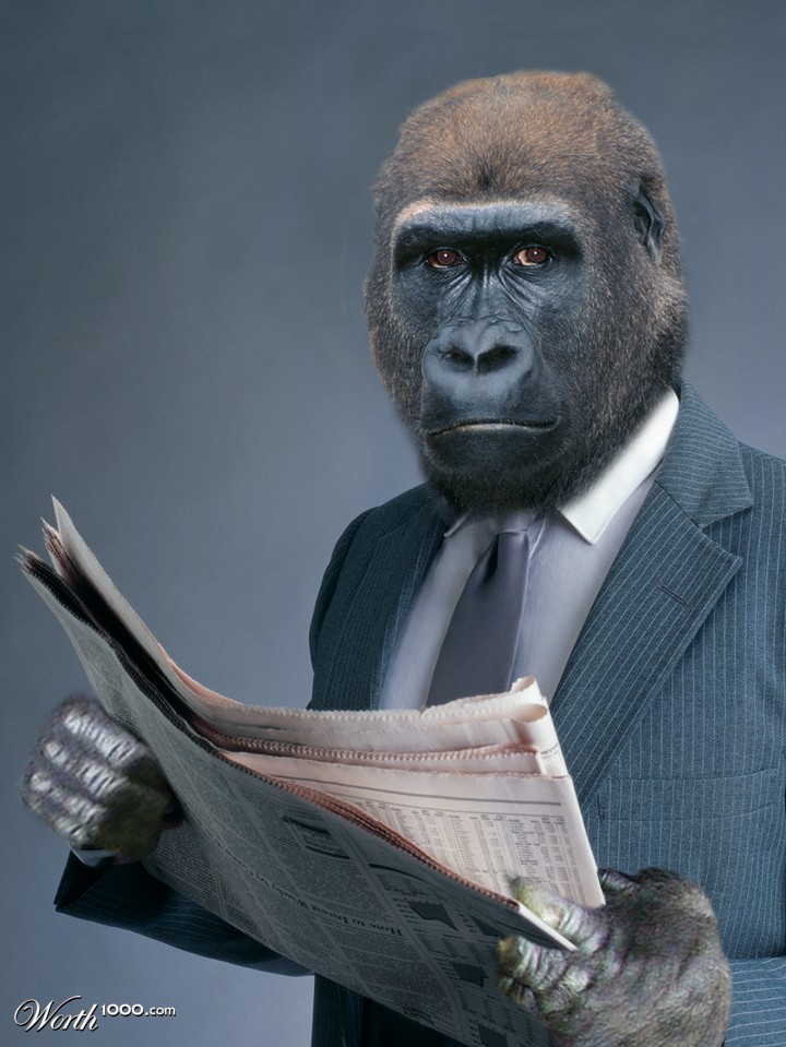 Monkey Business Section