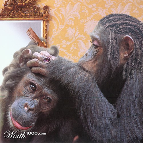 Ape Salon