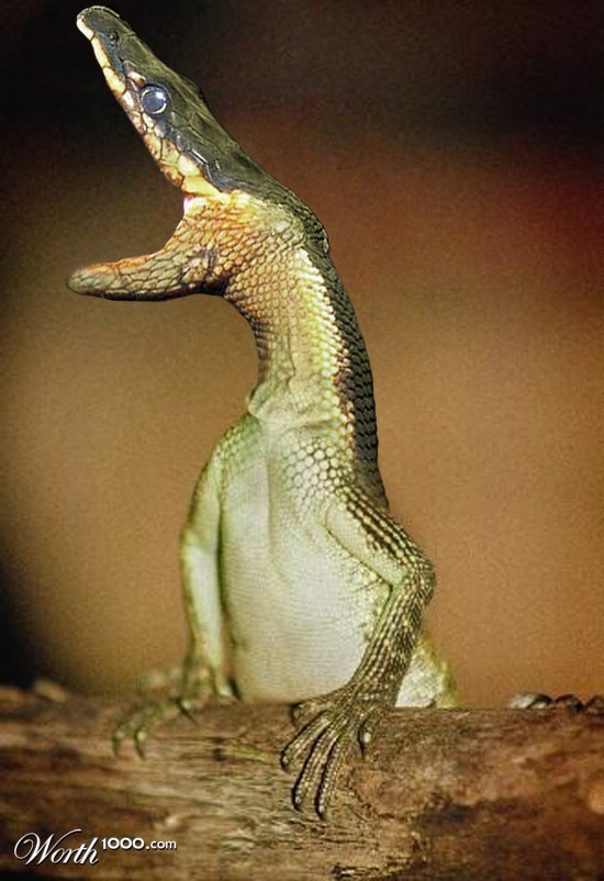 Cryptozoo