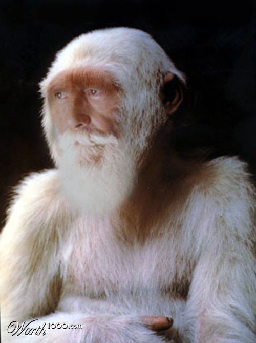Abominable Snowman