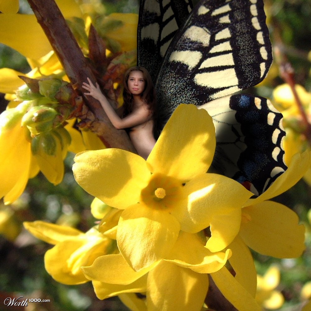 Fairy