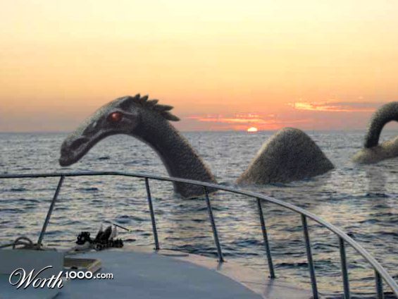 Cadborosaurus willsi