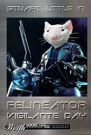 Felineator