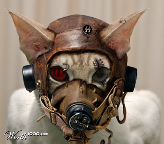 Siamese-Nazi Pilot