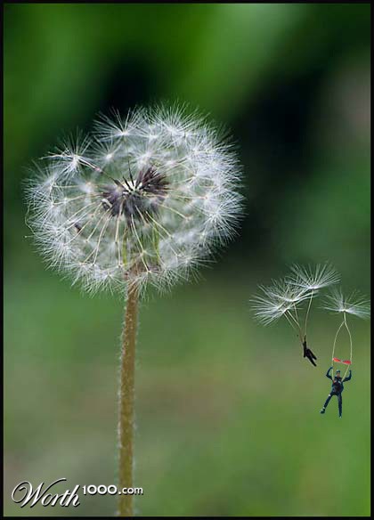 parachute