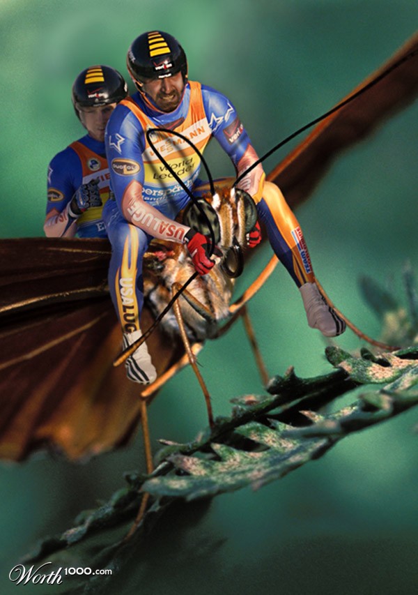 Luge Elves II