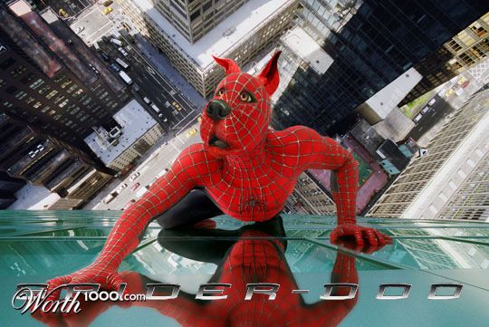 Spider-Doo