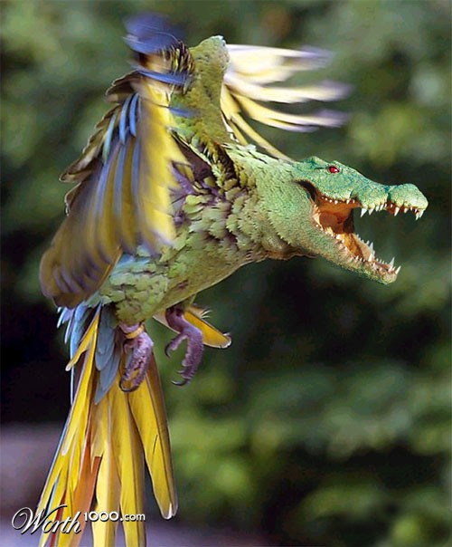 Parrodile