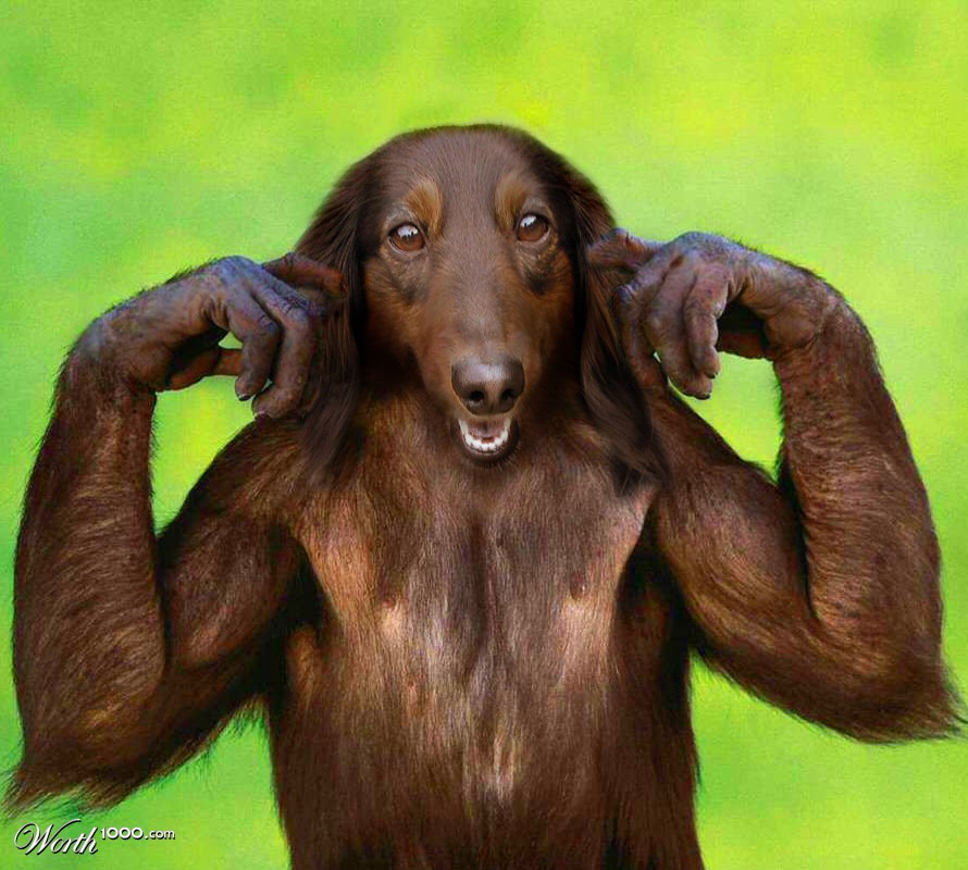 monkeydog