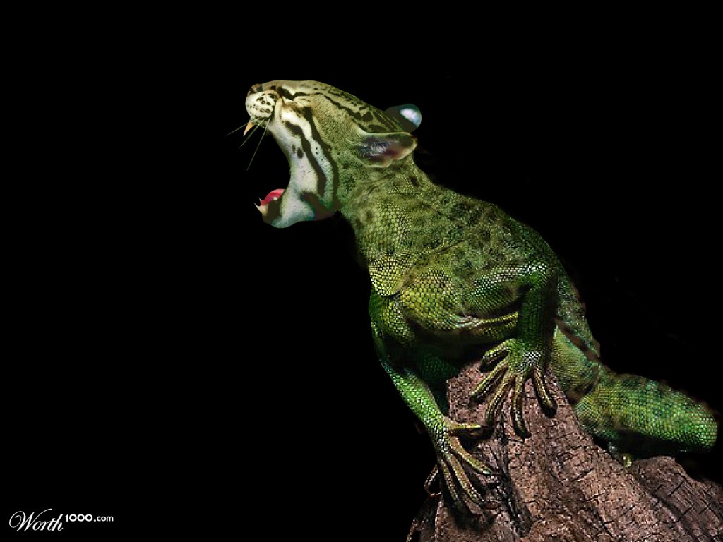 Leopliz