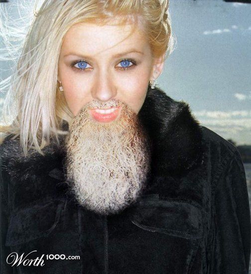 Bearded Lady