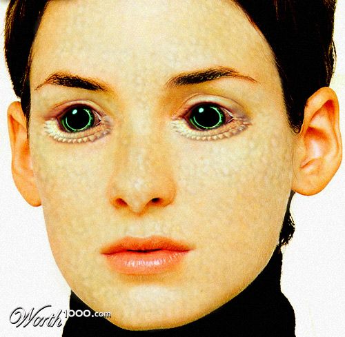 Winona Reptile