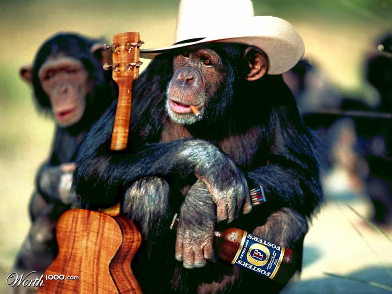 Cowboy