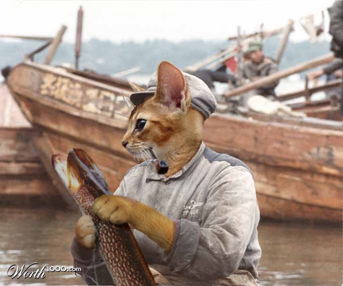 Old Cat and the Sea II