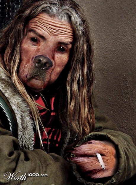 Littlest hobo ?