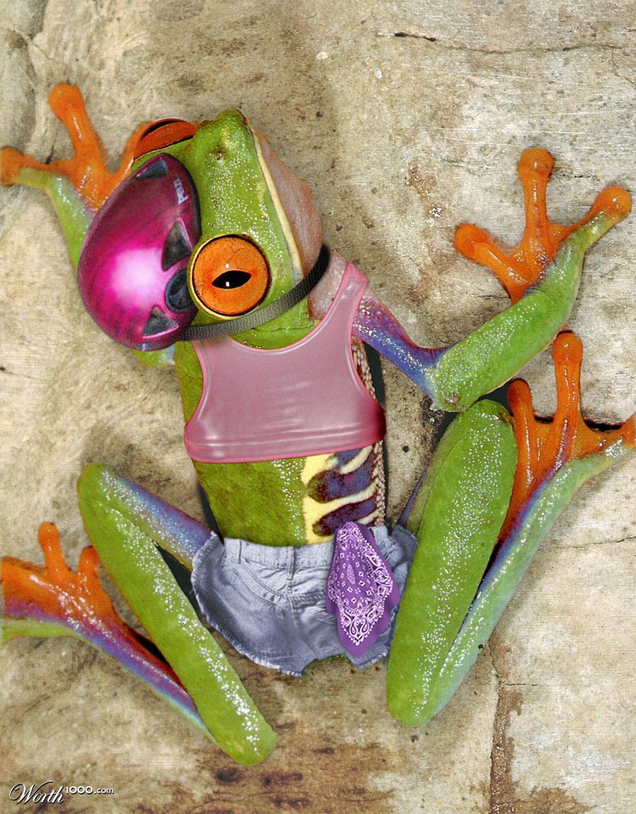 Climbing Frog