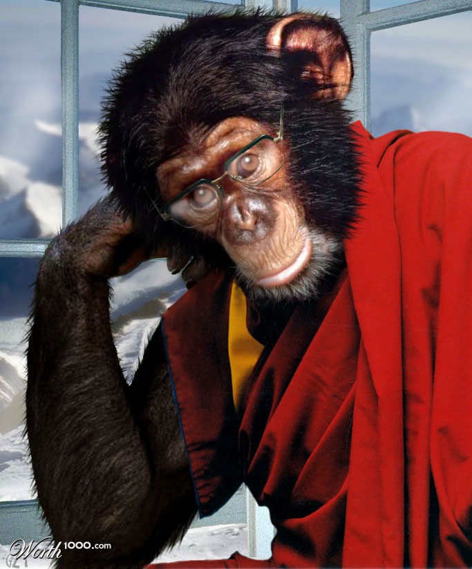 Dali Monkey