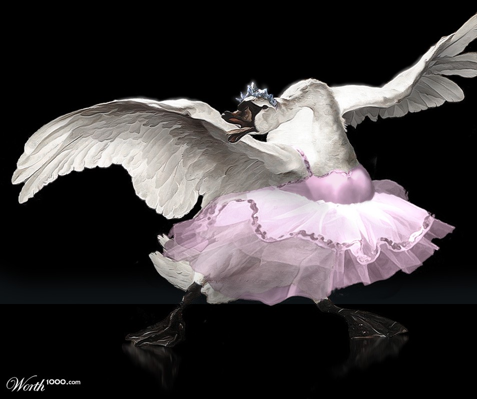 Ballet swan