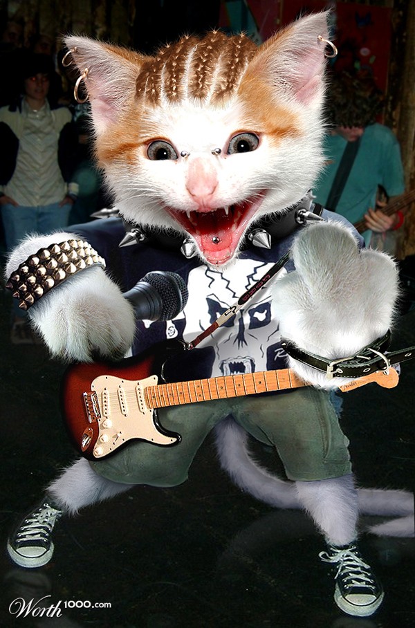 KittyRock