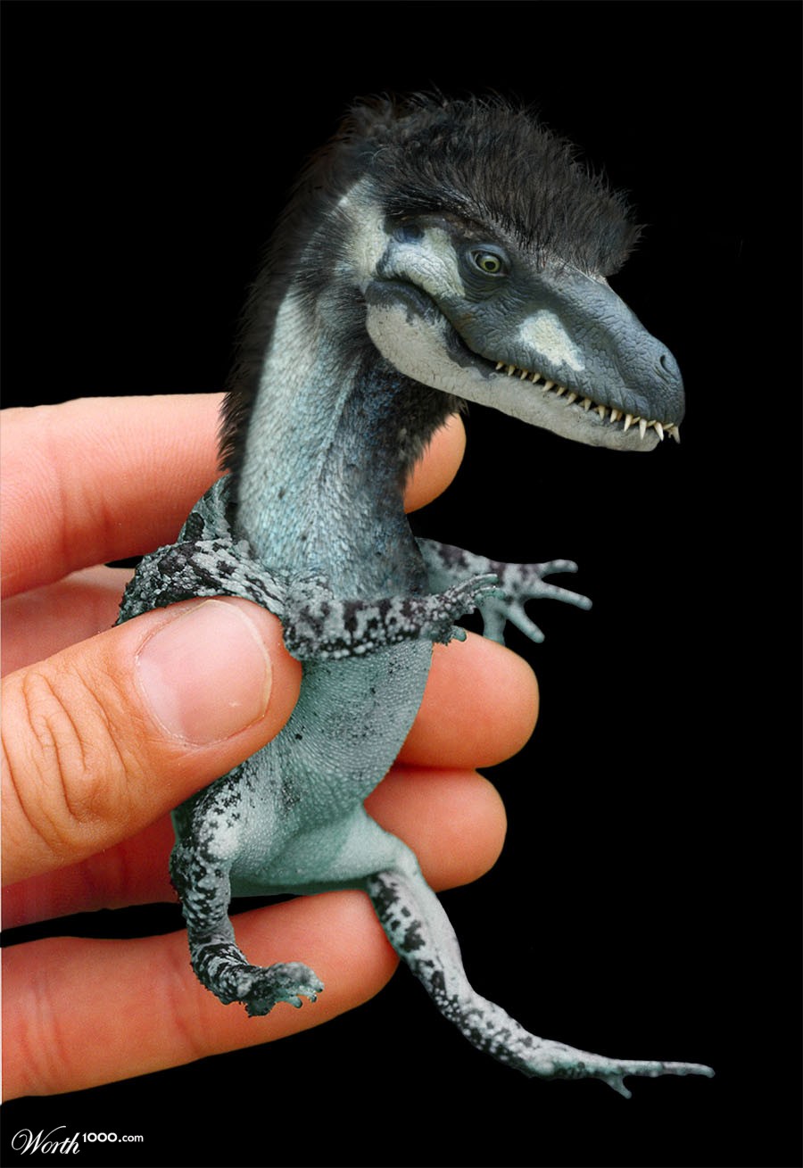 Fremusaurus