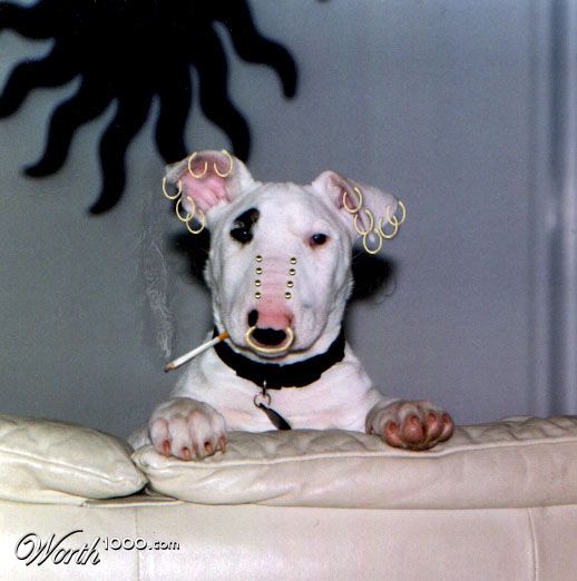 Bad, Bad, Bully
