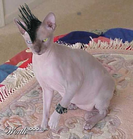 Punk