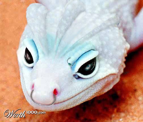 Reptilian
