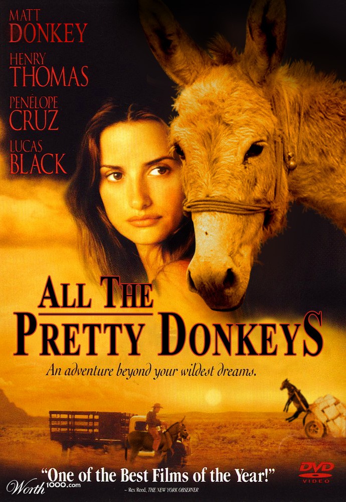 Pretty Donkeys