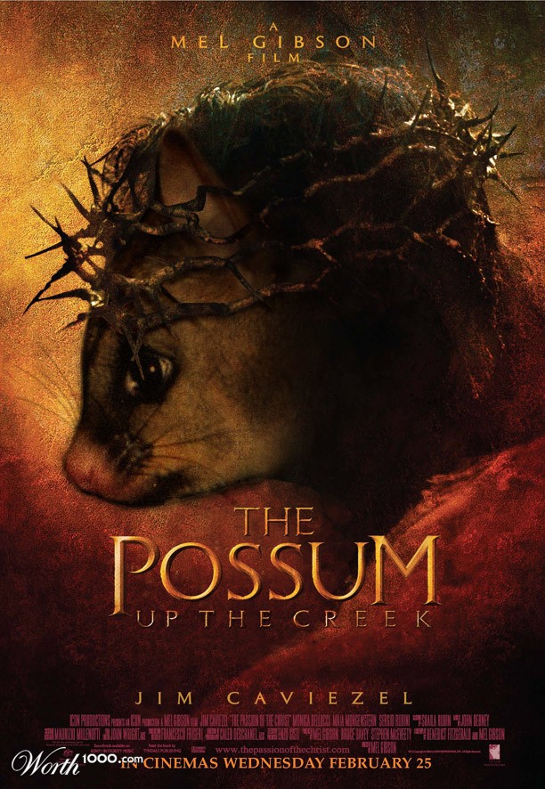 THE POSSUM