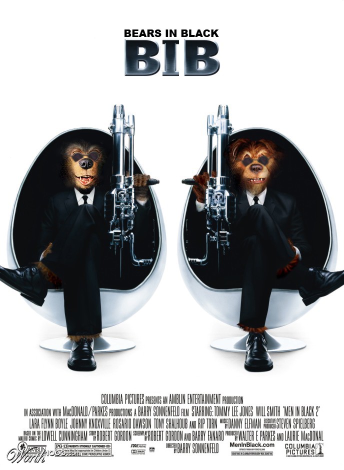 BIB