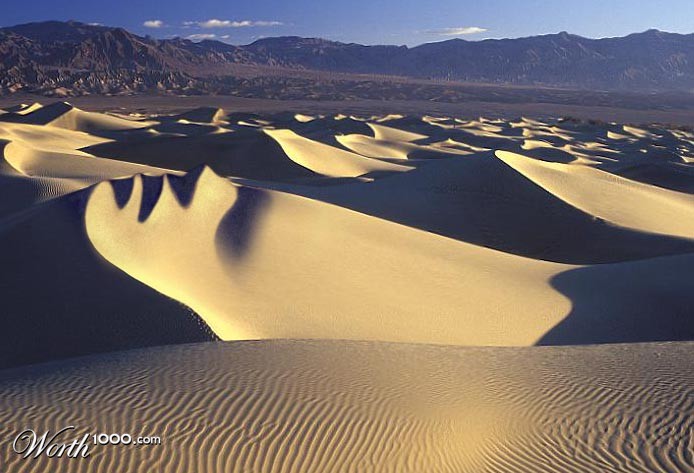 dunes