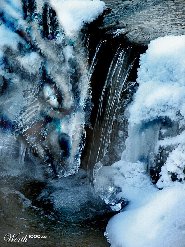 Ice Dragon