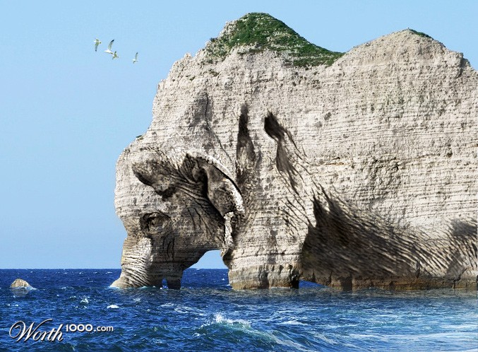 Elephant Point