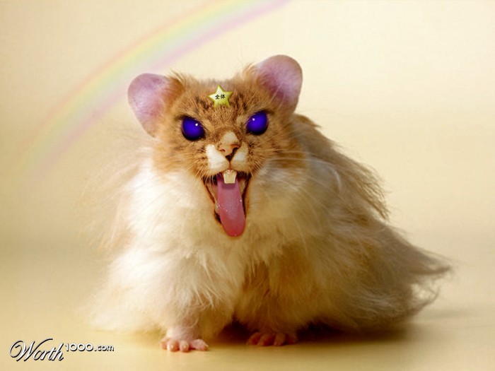 ratakat
