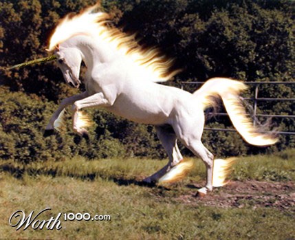 Rapidash