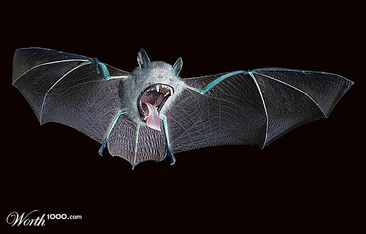 042 Golbat