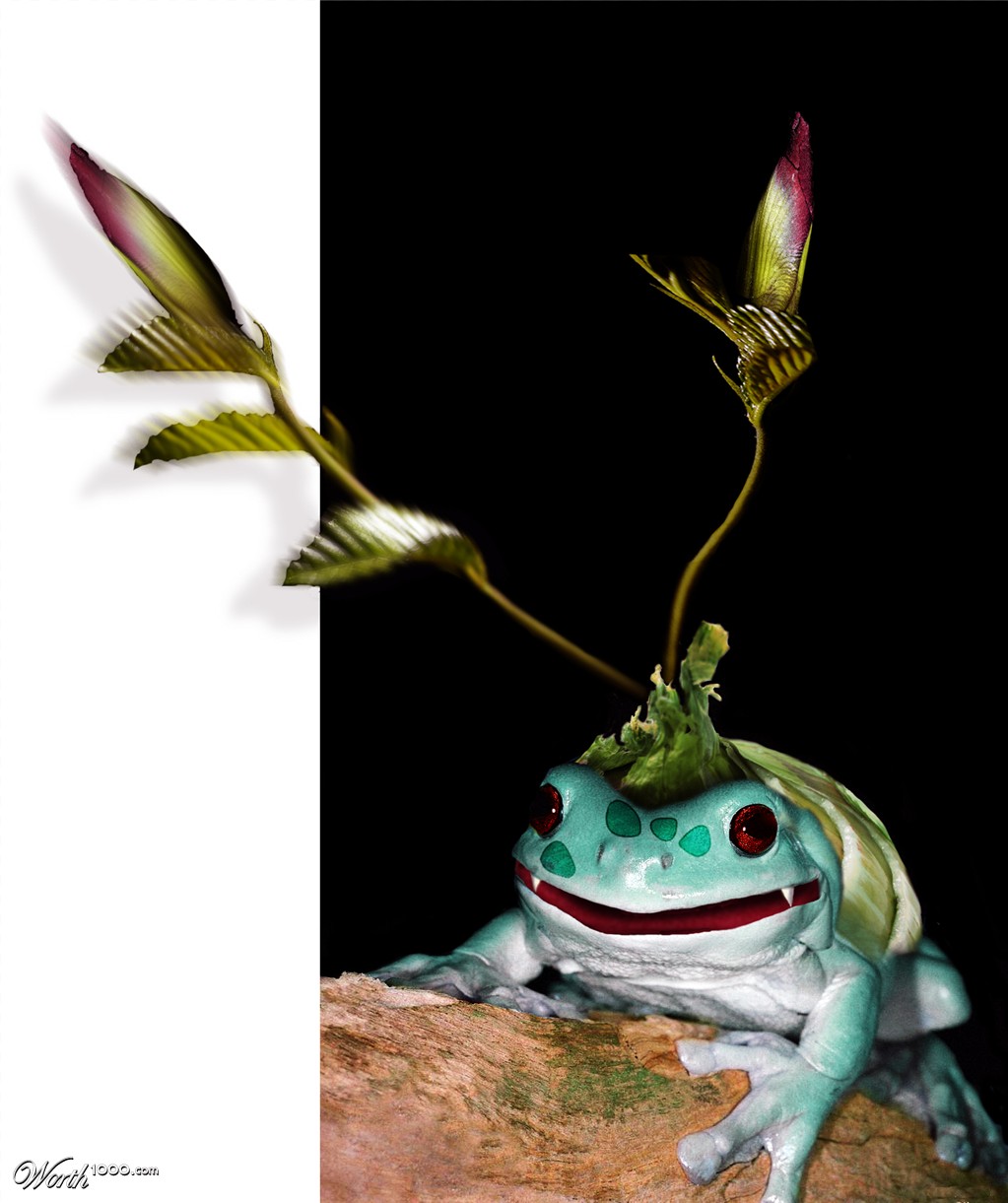 Bulbasaur
