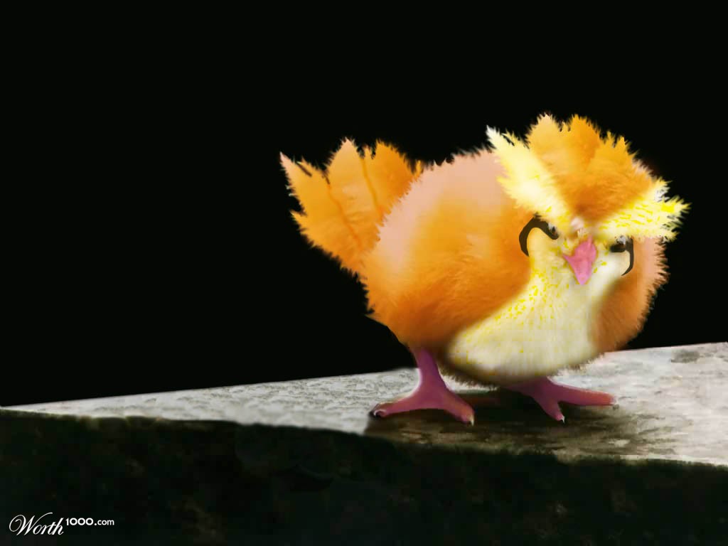 baby pidgey