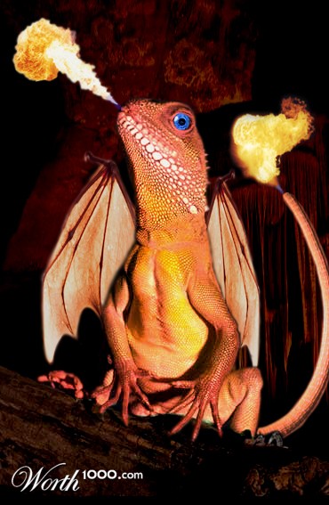 Charmander Lizard