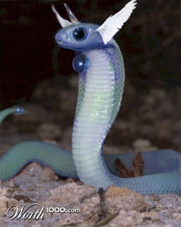 Dragonair