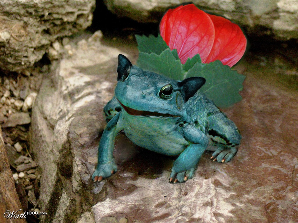 Ivysaur