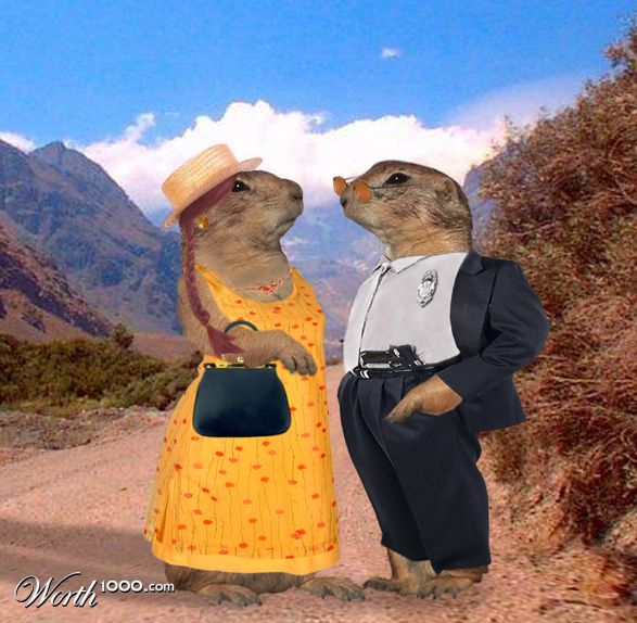 Thelma & Barney