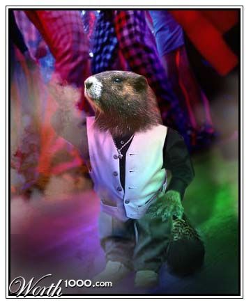 Saturday Night Beaver