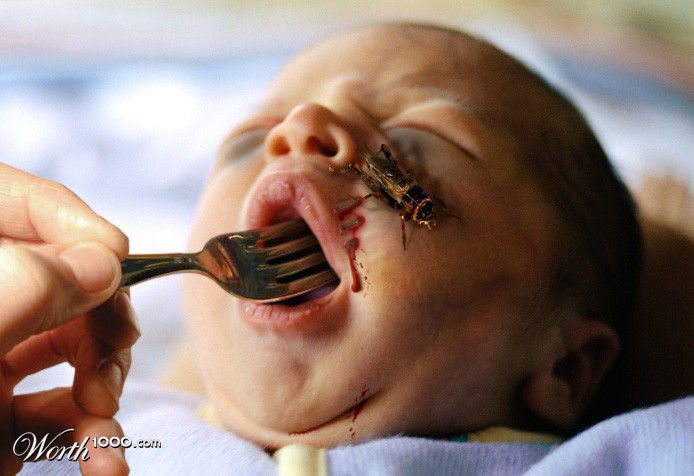 What Babies Dream Of